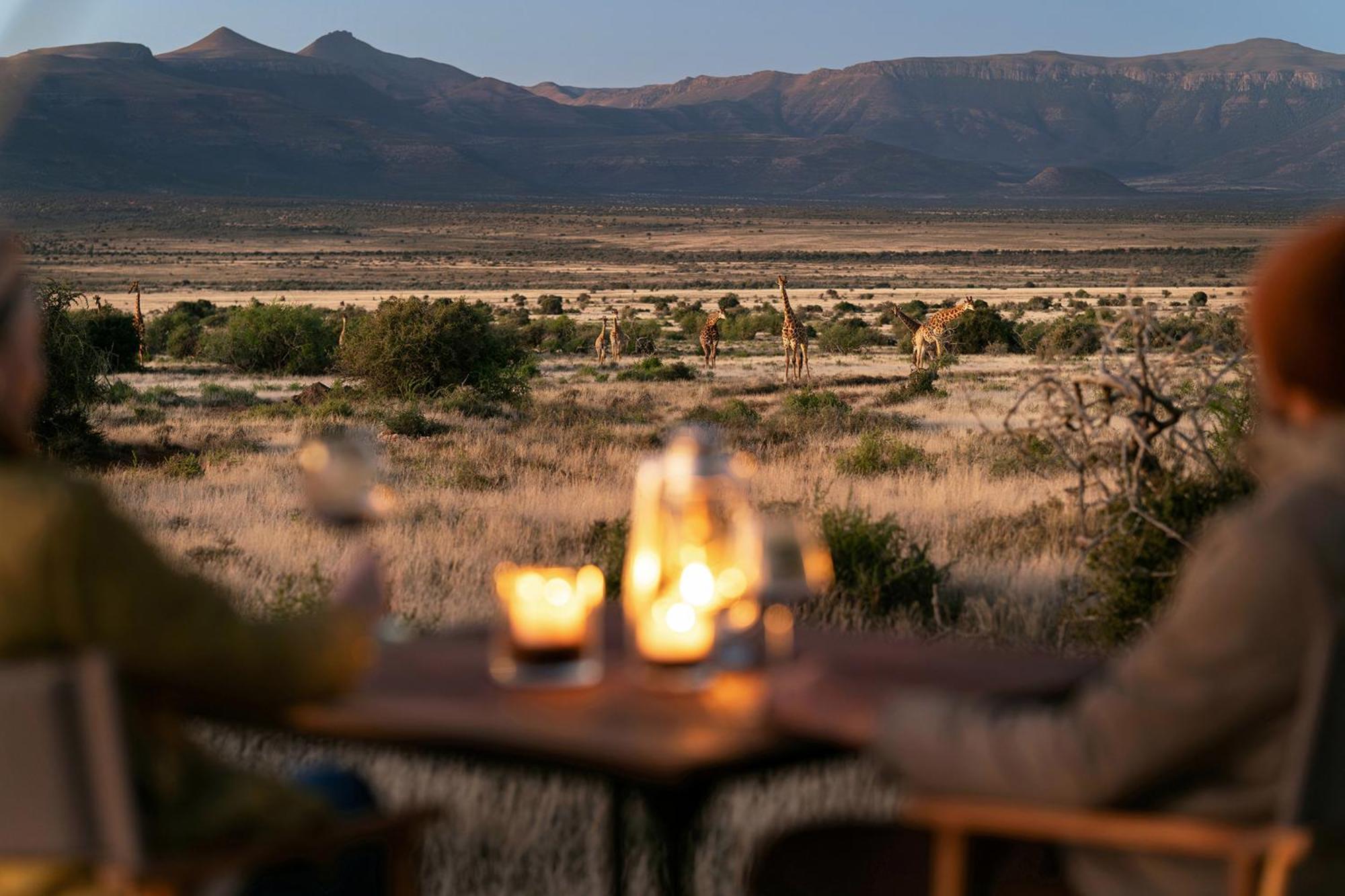 Samara Karoo Reserve Graaff-Reinet Exterior foto