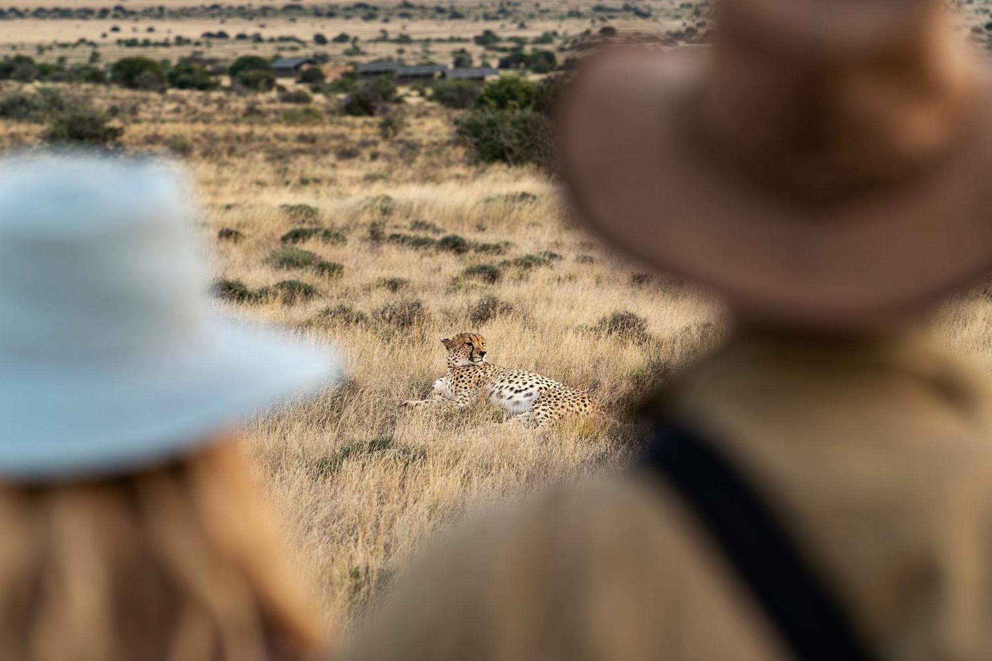 Samara Karoo Reserve Graaff-Reinet Exterior foto